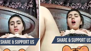 Pakistani bhabhi jerking off video