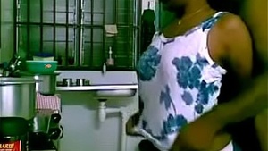 See maid banged: by: boss in The kitchen