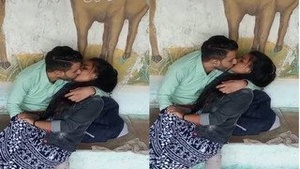 Exclusive Roman Desi Park