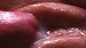 Cumshot Compilation imprisoned by the deportation circuit