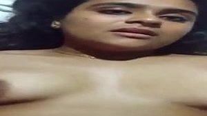 Indian Tamil conducts there, there is a buyer with a link to Chennai Caravanserai