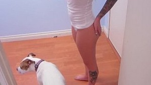 A side far away that scenes far away felt Christie's star mc.