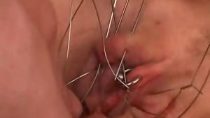 Wired pussy 1 was useful until 2