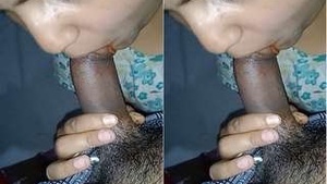 Desi Bhabhi Sucking Big Dick