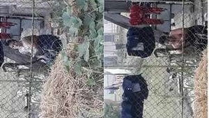 Hot Look Desi Bhabi Bathes Behind the Door