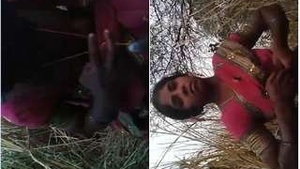 Desi Randy Bhabha's Exclusive Open Air Blowjob and Client Penis Disposal