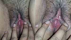 Desi wife gets her juicy pussy licked and fingered by her husband