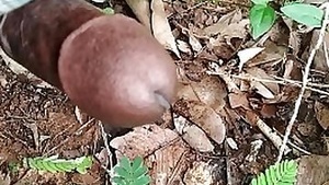 Solo performance in Telugu language.