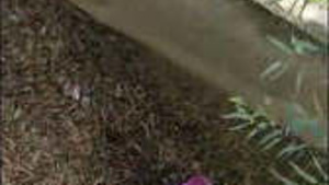 Bhabhi Caught Outdoors Out Of Fuck