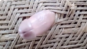 Desi village girl funny video