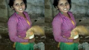 Desi Lovers Romantic Encounter in the Village: Part 5