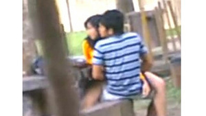 Desi students have hot sex in Voyur Park on camera