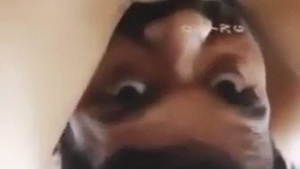 Buceta lambendo and fodendo