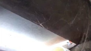 Next To Auntie In The Shower