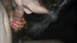 Part 3: Pakistani Honeymooners Get Naughty in HD Video