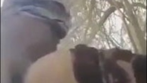 Desi bhabi fucking with old dad in lw