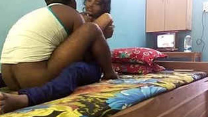 Desi Lovers Romantic Encounter