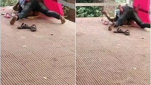 Desi Randi gets pounded on the Train Station Bridge