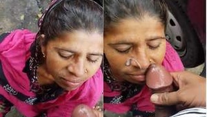 Bhabhi Randis Outdoor Blowjob: Part 2