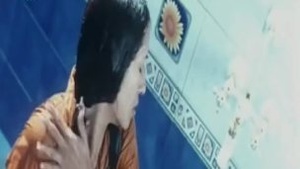 Kashmiri Shah Revathi