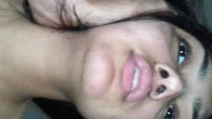 Desi babe gets her fill of black cock in hot car