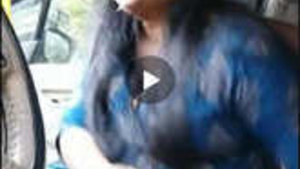 Indian lover blowjob in the car updates