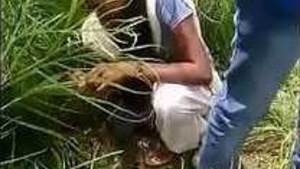 Desi college girl caught in the act of sex