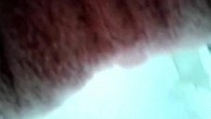 Punjabi Kuddu No Chuveiro Filmes