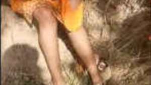 Gafs New Adventure on the Farm