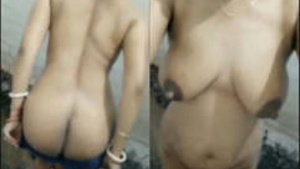 Desi bhabhi flaunts her ample breasts and genitals