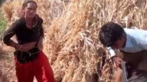 Indiana Dewar Bhabhi Porra Ao Ar Livre