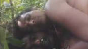 Telugu CPl Outdoor Cock