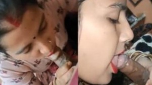 Desi Bhabhi giving tasty blowjob