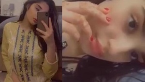 Beautiful Cat Showing