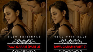 Charmsukh Tawa Garam Part 2: A Fisting Adventure on the Net