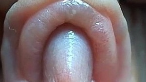 The Pleasure of the Clitoris: A Sensual Experience