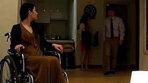 On the obstruction of the Irish Collins Suspension Commission