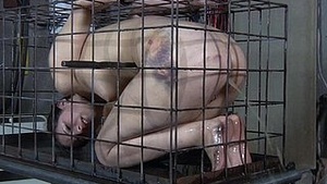 The marvelous adventure of slavery of a cute collar doll near a dense hen house