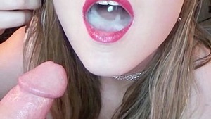 Dried POV SCOM SWallows moments