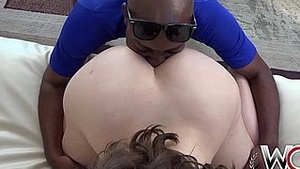 WCP mold big pests interracial