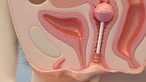 Horny teen masturbates - Chock-Full 3D Hentai