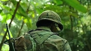 Stuffed (2014) in GAN-JUNG-DOK Drama Complete Korean Hot Saw