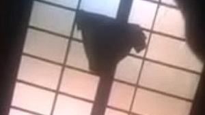 Indian wife Susmita Kannada