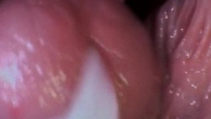 Forcible coverage of the dominant vagina with an increased proportion of chewing output