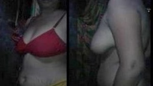 Desi Bhabhi Showing Boobs
