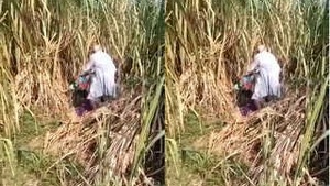 Old Man Fucking Randi