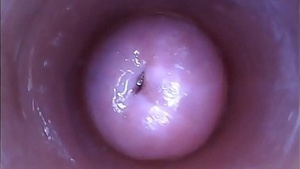 Unusual Czech cutie extends her shrunken cock to a bizarre