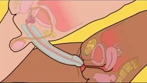 Making love to a woman