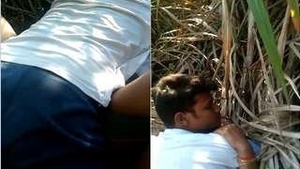 Desi Clg lover Outdoor Sex
