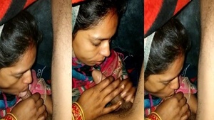 Desi Bhabhi giving blowjob under blanket